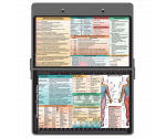 WhiteCoat Clipboard® - Silver Occupational Therapy Edition
